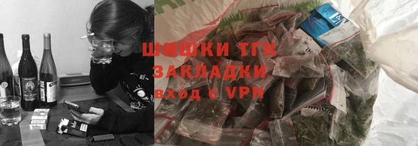 индика Володарск