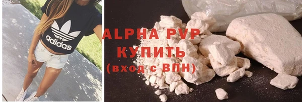 индика Володарск