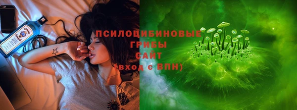 индика Володарск
