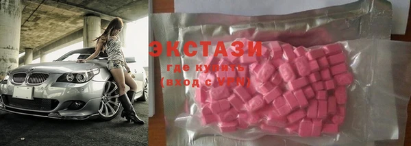индика Володарск