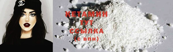 индика Володарск