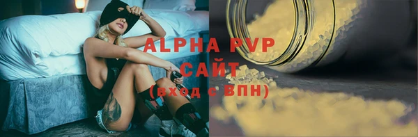 индика Володарск