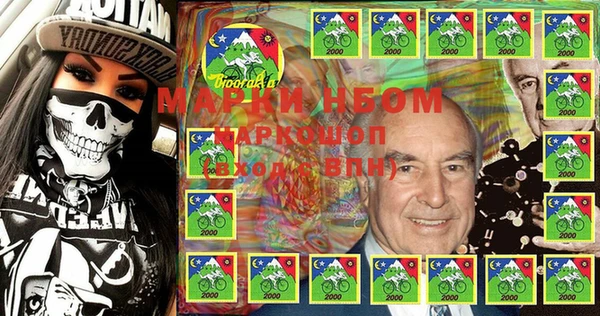индика Володарск