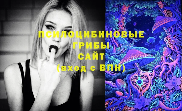 индика Володарск