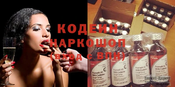 индика Володарск