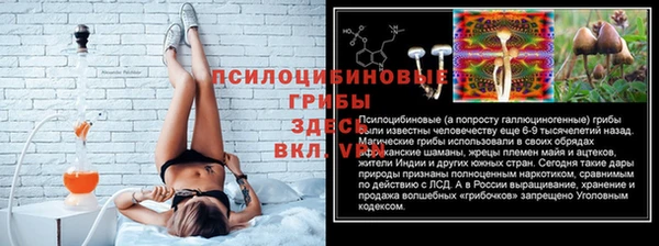 индика Володарск