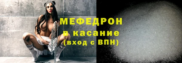 индика Володарск