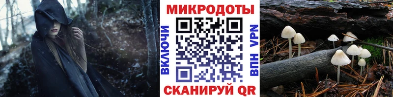 Галлюциногенные грибы Psilocybine cubensis  цена   Нижнекамск 